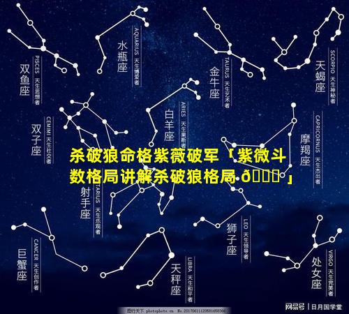 杀破狼命格紫薇破军「紫微斗数格局讲解杀破狼格局 🐞 」